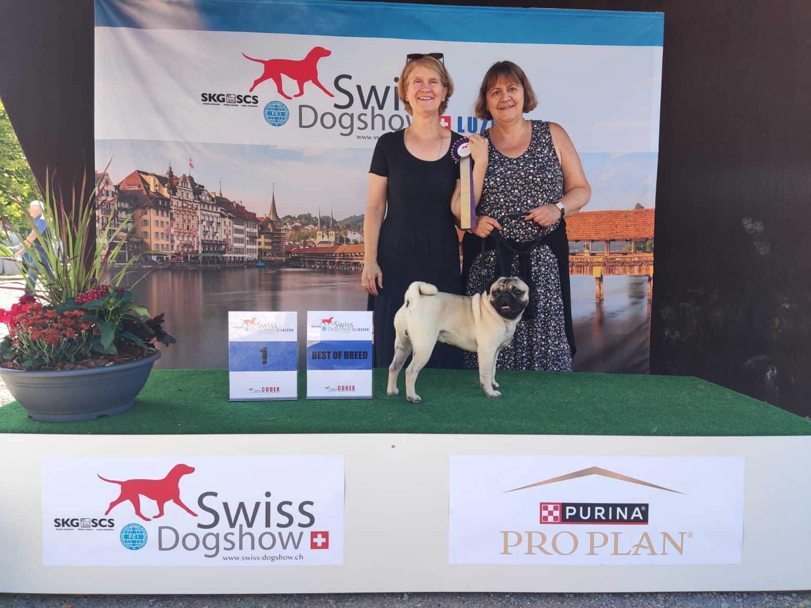 Aramis von Hängelen City